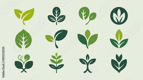 A collection of various green leaf illustrations are displayed showcasing different shapes sizes and vein patterns in a simple style high quality professional detailed modern elegant