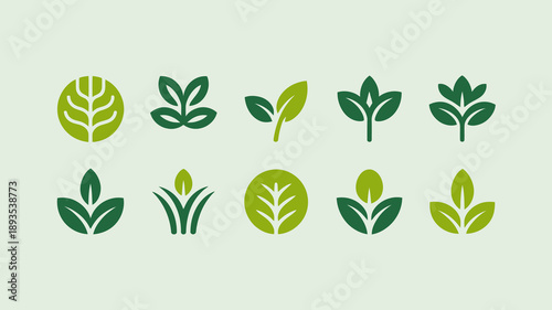 A collection of stylized green leaf icons are displayed against a pale green background showcasing various leaf shapes and designs high quality professional detailed modern elegant
