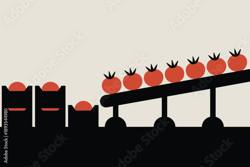Automated Tomato Sorting Line, food processing concept