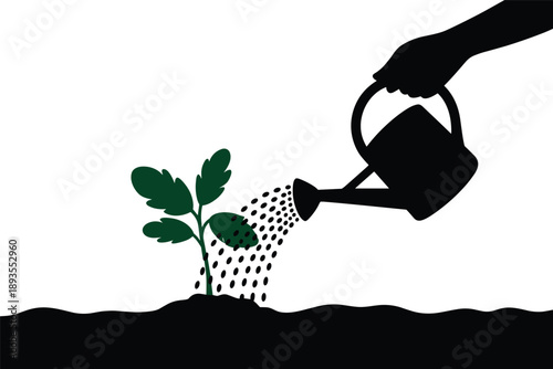 Watering Young Plant, nurturing growth concept