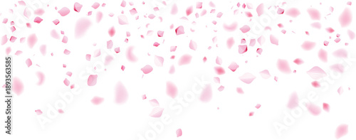 romantic pink rose petals falling love anniversary surprise celebration banner background 