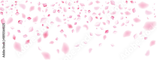 valentine heart rose petals medium density falling love anniversary surprise floral background