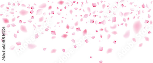 falling valentine pink rose petals thin upper layer romantic love decoration background