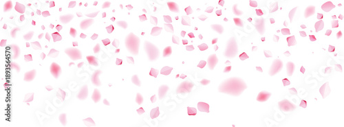 valentine pink rose petals wide top spread floral festival love banner background