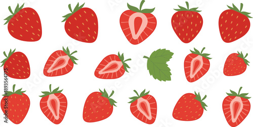 Fresh Strawberry Illustration Set with Whole Fruits, Sliced Halves, Leaves, and Organic Berry Elements for Food Packaging, Recipes, and Healthy Design