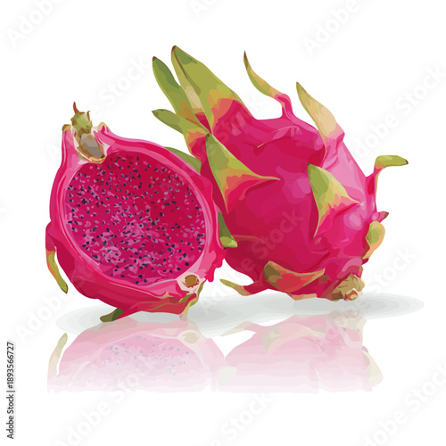 Minimalist 2D vector icon representation of a Dragon Fruit, displayed on a pure white background