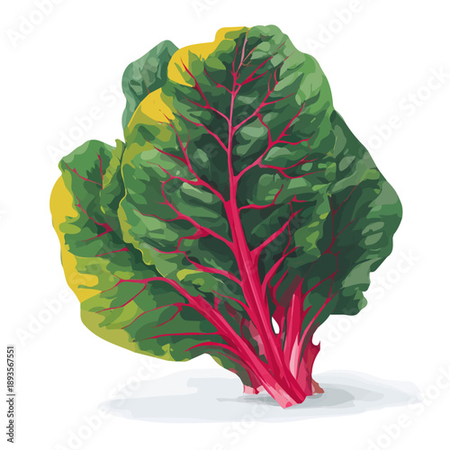 Simple flat 2D vector graphic of a Chard in modern icon style, isolated on a white canvas