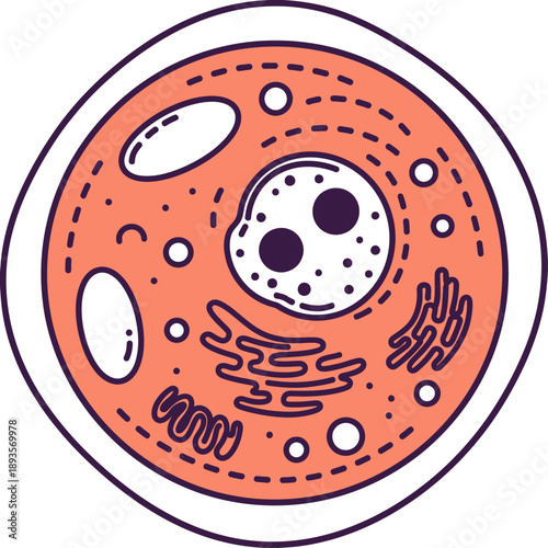 Cellular science illustration depicting a cell's structure with nucleus membranes and organelles in a simplified diagrammatic representation