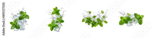 Set of mint splash isolated on transparent background