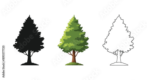 Set of three evergreen tree icons in silhouette, color, and outline styles