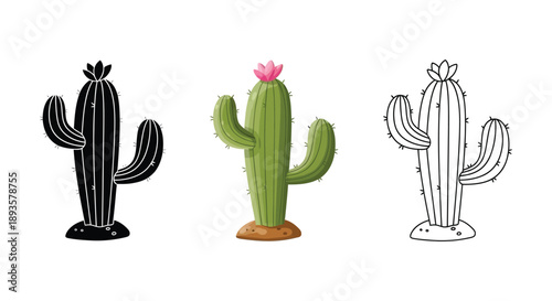 Set of three saguaro cactus illustrations in black silhouette, color, and outline styles