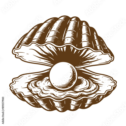 Vintage Grunge texture drawing of an open oyster shell with a pearl inside on white background