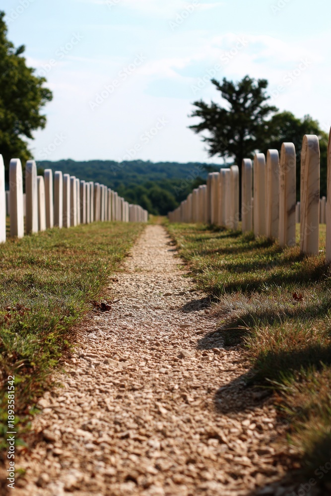 Fototapeta premium Pathway through peaceful cemetery with aligned white headstones