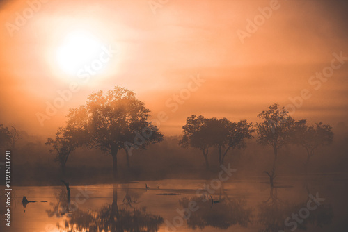 Photos Sunrise behind an ephemeral pan landscape in the Kruger National Park