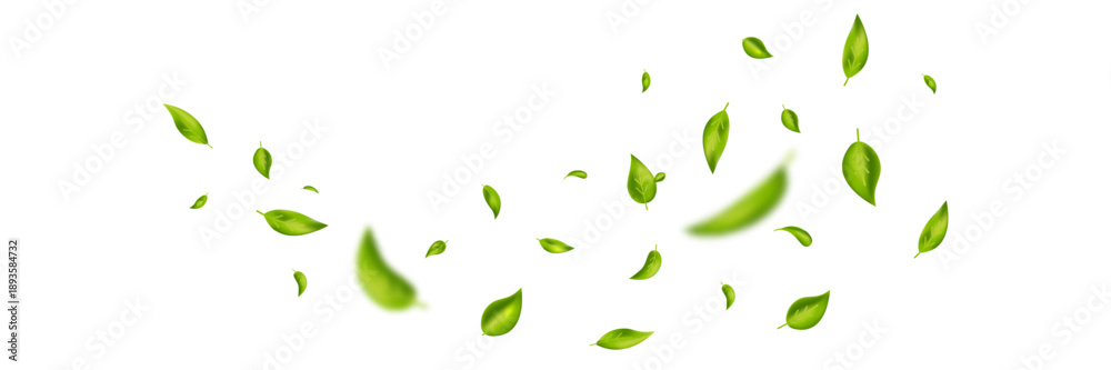 Fototapeta premium Green flying leaves banner. Leaf falling frame. Wave foliage ornament. Vegan, eco, organic product. Cosmetic pattern. Spring tree plant design. Fresh mint tea background. Air wind.Vector illustration.