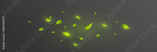 Green leaves air wind. Fresh mint wave. Leaf flying flow bg. Spring tree plant design. Eco tea banner. Swirl effect. 3d floral beauty nature background. Ecology. Vector illustration.