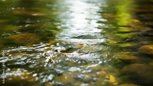 Wallpaper Mural Clear Water Stream Flowing Over Rocks In Nature Torontodigital.ca
