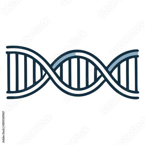 DNA structure vector illustration