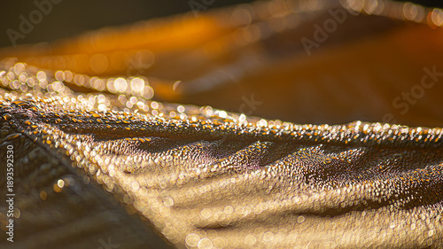 Photos Morning dew on a tent surface during sunrise camping Close-up of fresh water dro