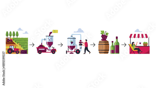 Infographic showing the complete winemaking process from harvesting grapes in the vineyard to selling bottles of wine at a market.