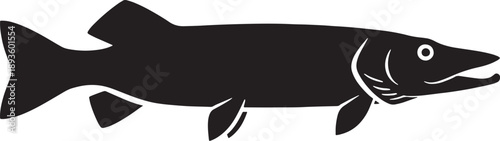 Black and white sketched of a fish with whiskers and fins sketched fish