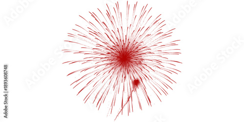 Bild auf Leinwand A radiant red firework bursting in the night sky symbolizing joy and celebration