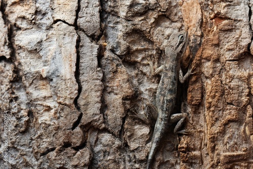 A camouflaged lizard climbs a rough tree trunk, its body blending with the bark's texture