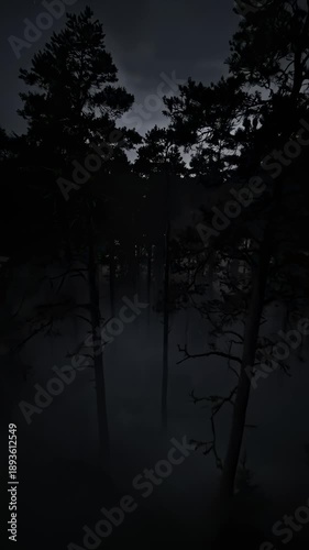 Misty Forest at Night With Dramatic Lighting