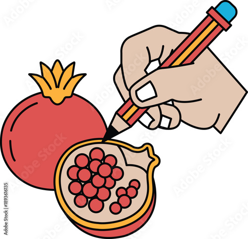 A hand is drawing a pomegranate with a pencil