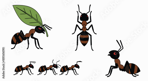 Collection of stylized cartoon ants depicted in various poses including carrying a green leaf illustration