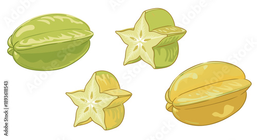 Assortment of ripe and unripe star fruit illustrations showcasing whole and sliced carambola varieties