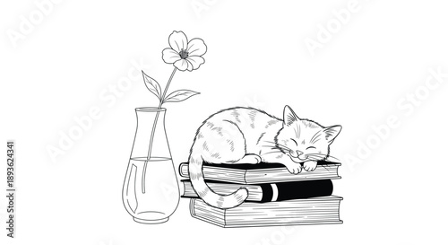 Charming black and white line art illustration of a small striped cat sleeping peacefully on a stack of books next to a flower in a vase.