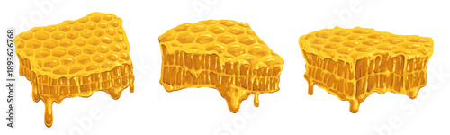 Fresh honeycomb from bees