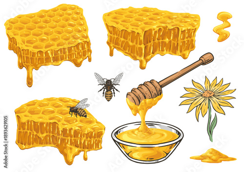 Honey and its natural forms