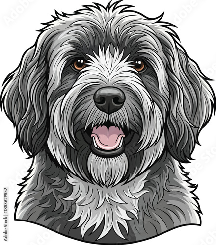 Schapendoes dog smiling happy face closeup headshot portrait