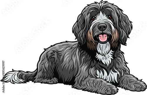 Schapendoes dog lying down relaxed happy smiling facing front