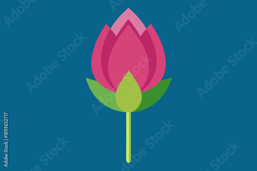Pink Lotus Flower Bud on Blue Background stalk illustration