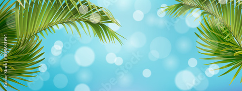 Tropical Palm Leaves Frame on Blue Sky Background with Soft Bokeh Lights