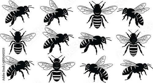 Young beautiful woman practicing yoga at park, healthy lifestyle wellness, morning meditation exercise, peaceful nature background, outdoor fitness activity, summer.