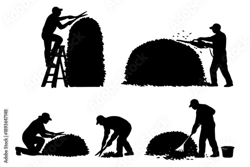 Adobe Illustrator Artwork