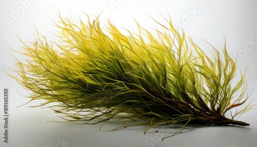 Artificial aquarium plant with yellow and green leaves for decoration.