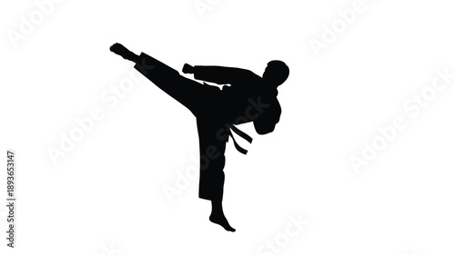 A dynamic martial artist executing a kick in a striking silhouette