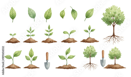 Hand Painted Watercolor Planting Plants and Trees Vector Set