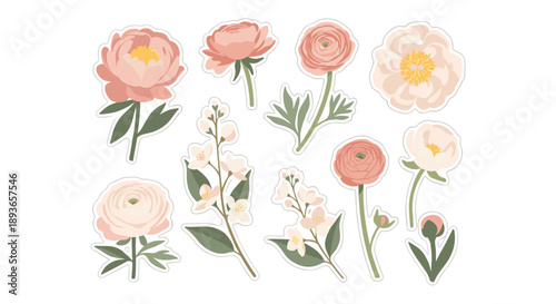 Collection of delicate pastel floral illustrations with green leaves on a white background