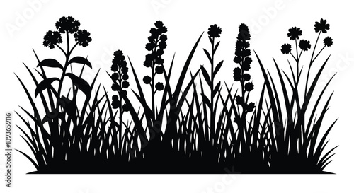 Silhouetted Garden Blooms in Black‑White Illustration – Serene View of Plants and Flowers from a Close‑Up Perspective