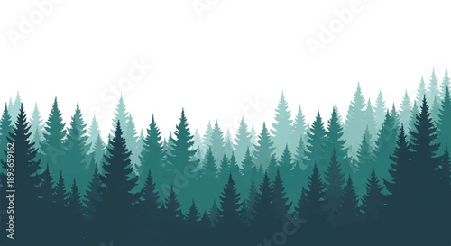 Observing a Gradient Forest of Evergreen Trees Across a White Canvas, Capturing Depth, Green Hues, and Tranquility