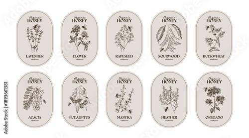Set of honey labels vector