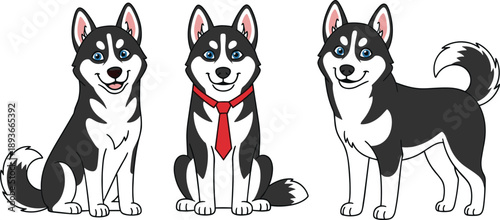Adobe Stock Title Set of Three Cute Cartoon Siberian Husky Dog Characters in Various Poses Including One Wearing a Red Tie Isolated on White Background