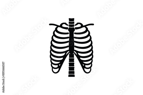 Human skeleton ribs anatomy science biology medicine organ chest bone halloween symbol black on white background