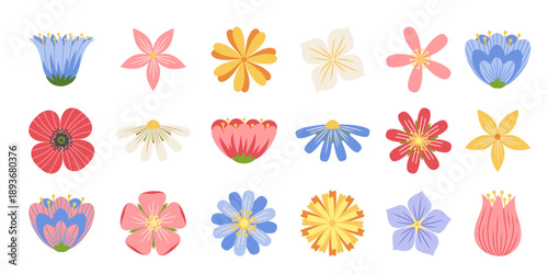 Set of vintage simple wildflowers. Minimal vector illustration of spring delicate flowers isolated on white background. Flowers icons collection